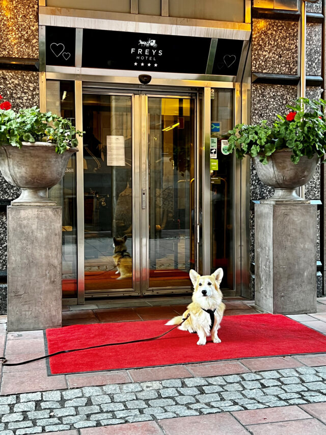 Freys Hotel Hundvänligt hotell